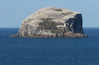 Sula